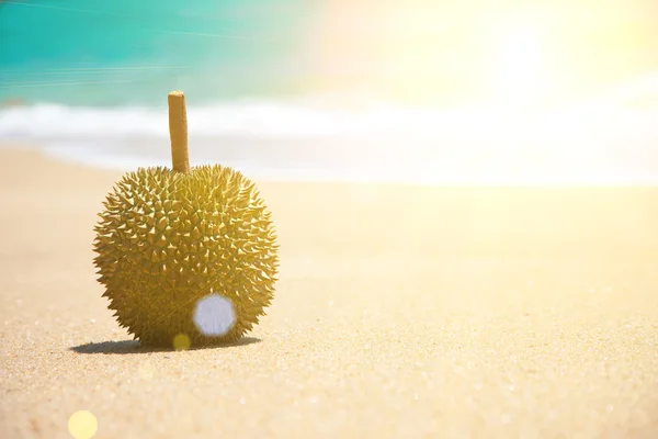 Durian een koning van fruit — Stockfoto