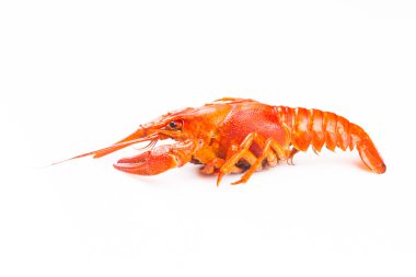 Haşlanmış kırmızı kerevit