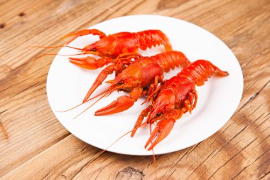 Haşlanmış kırmızı crayfishes