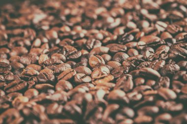 Kavrulmuş kahve çekirdeği.