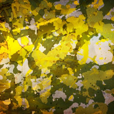 kamuflaj askeri geçmişi