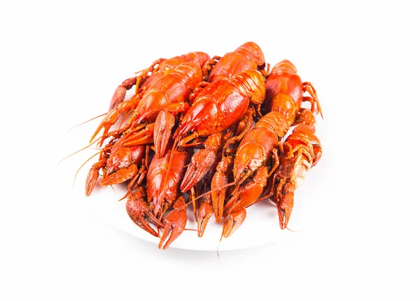 Red boiled crayfish — Stock Photo, Image