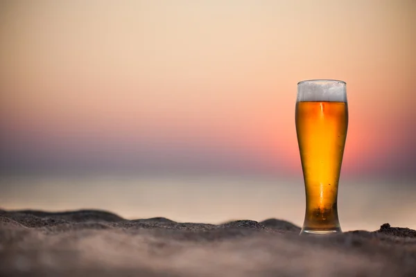 Copo de cerveja em um pôr-do-sol — Fotografia de Stock