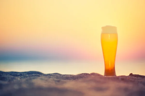 Bicchiere di birra su un tramonto — Foto Stock