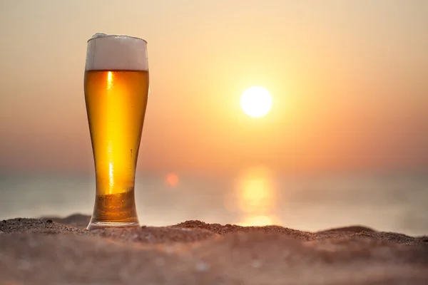 Bicchiere di birra su un tramonto — Foto Stock