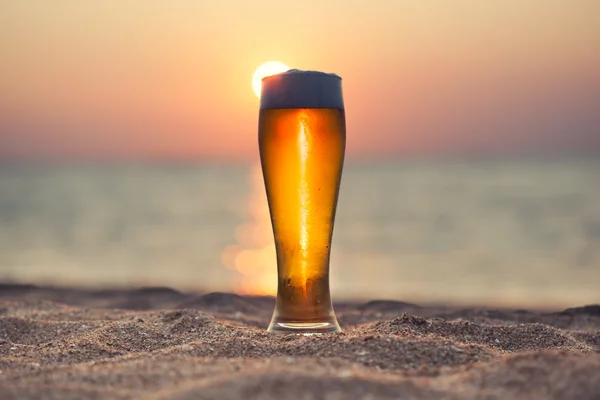 日没でビールのグラス — ストック写真