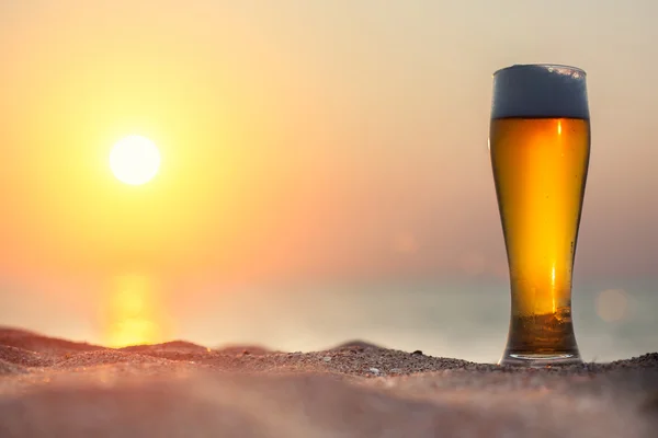 Glas bier op een zonsondergang — Stockfoto