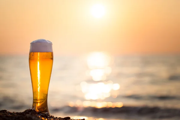 Стакан пива на закате — стоковое фото