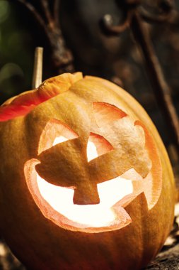 Halloween Jack-o-lantern