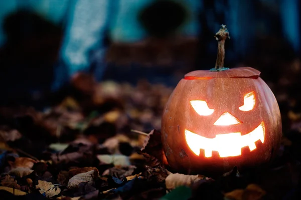 Halloween Jack-o-lantern — Stockfoto