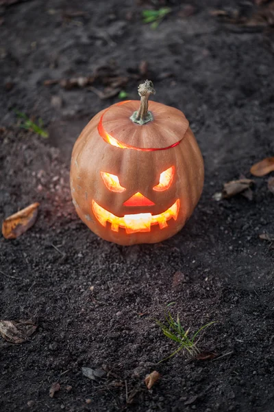 Halloween Jack-o-Linterna — Foto de Stock