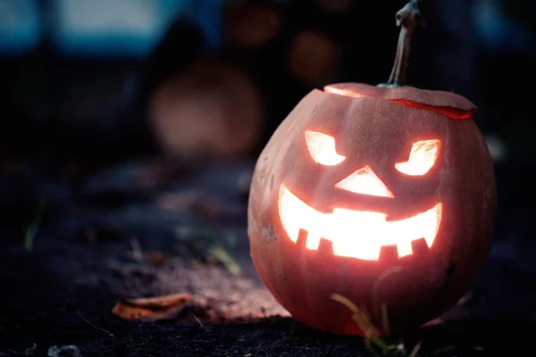 Halloween jack-o-lucerna — Stock fotografie