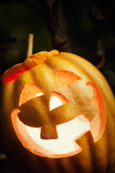 Halloween Jack-o-Linterna — Foto de Stock