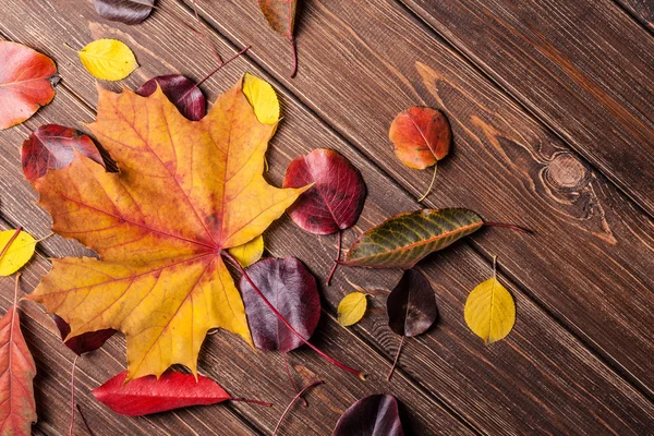 Sonbahar Yaprakları