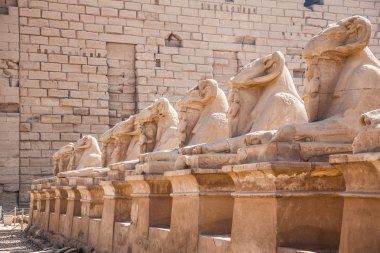 Koç başlı Sfenks cadde