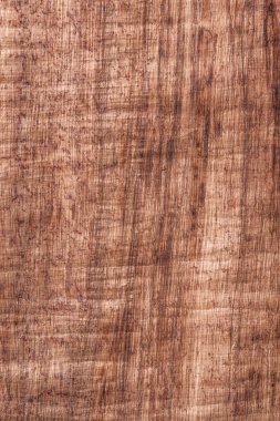 eski papirüs kağıdı