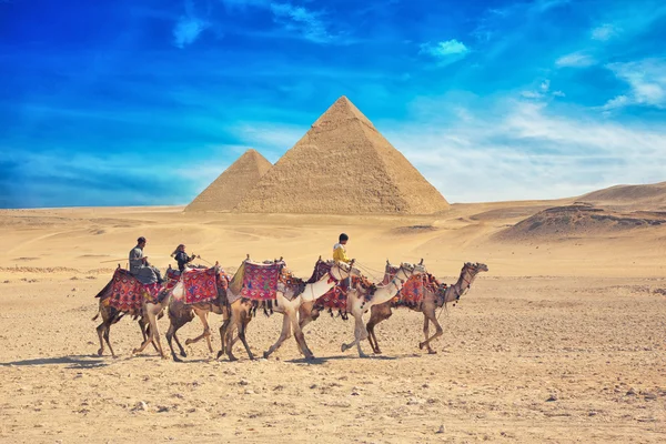 Beduíni na velbloudu v blízkosti velké pyramidy v Egyptě — Stock fotografie