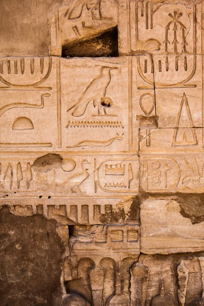 Gamla Egypten hieroglyfer på stenen — Stockfoto