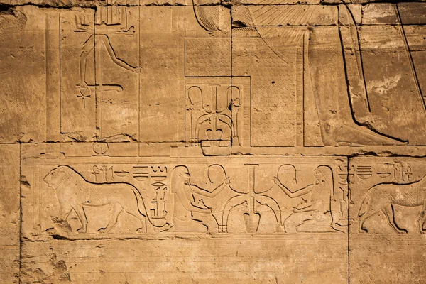 Hieroglyfer av egypt på steinen – stockfoto
