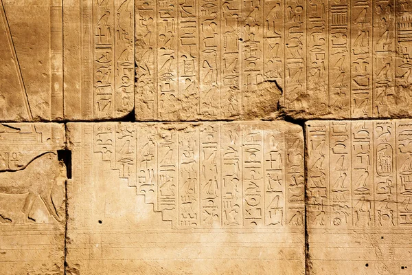 Vecchi geroglifici egizi sulla pietra — Foto Stock