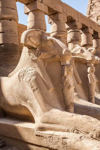 Avenue of the ram-headed Sphinxes — Stock Photo, Image