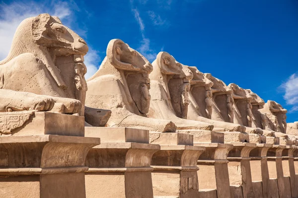 Avenue of the ram-headed Sphinxes — Stock Photo, Image