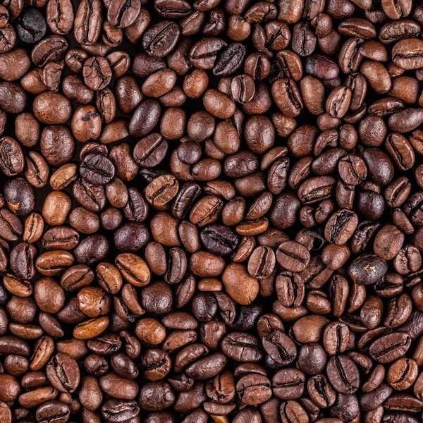 Roasted coffee beans — Stock Photo, Image