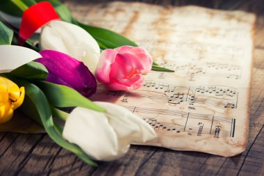 Lale bir müzik notları kağıt üzerinde