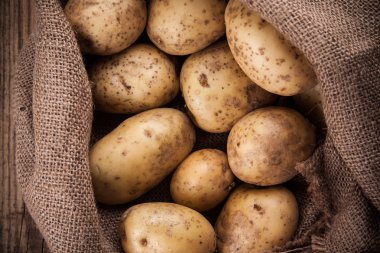 çuval çuval patates hasat