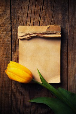 Not Defteri ile Sarı Lale