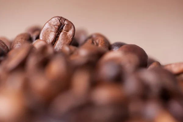 Chicchi di caffè torrefatto — Foto Stock