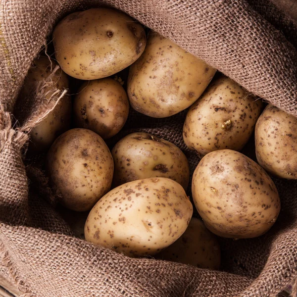 Harvest potatoes in burlap sack — Stock Photo, Image