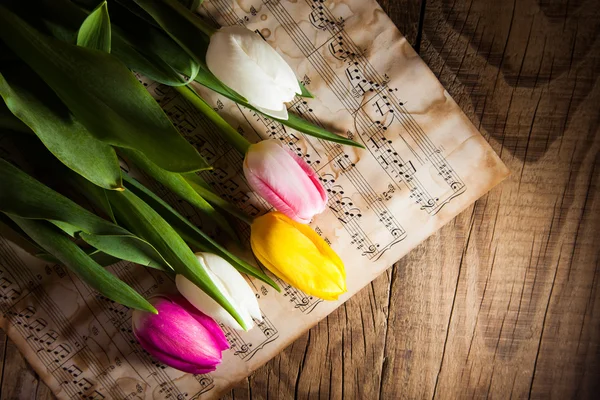 Tulipany na muzyka notatki papieru — Zdjęcie stockowe