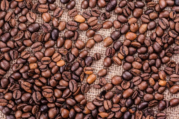 Primo piano dei chicchi di caffè — Foto Stock