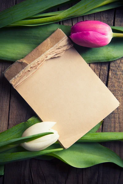 Barevné tulipány s Poznámkový blok — Stock fotografie