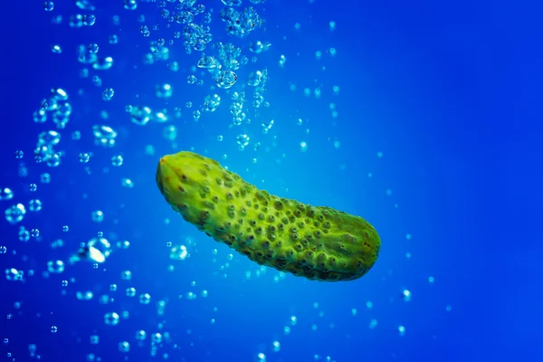 Cucumber splashing water — Stock Photo, Image