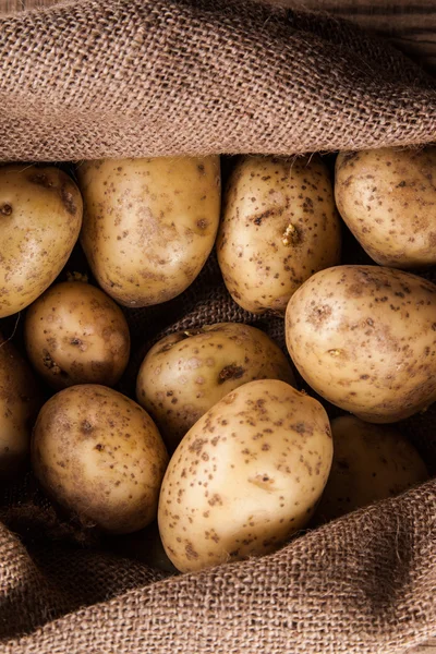 Harvest potatoes in burlap sack — Stock Photo, Image