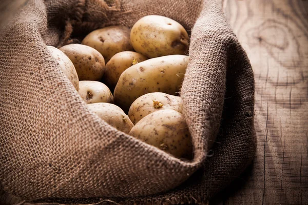 Συγκομιδή πατάτες στο σάκο λινάτσα — Φωτογραφία Αρχείου