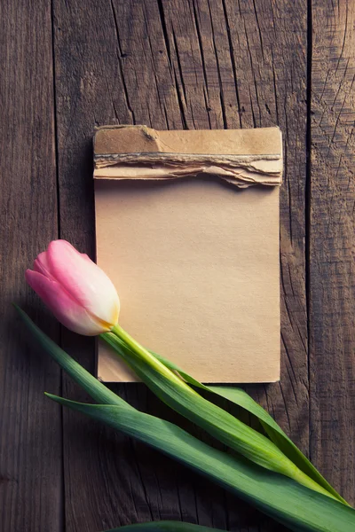 Tulipan kolorowy z notatnika — Zdjęcie stockowe