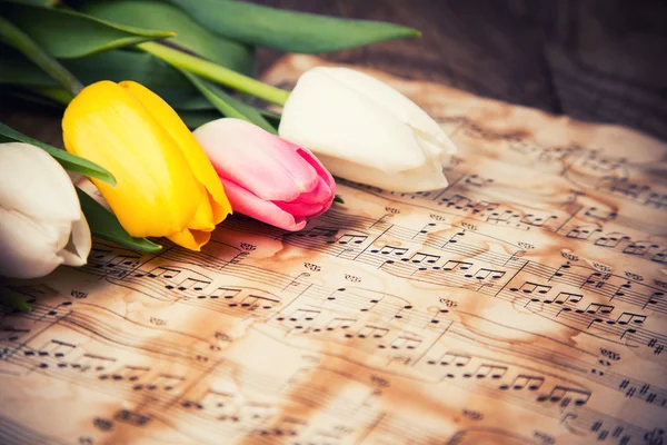 Los tulipanes en las notas musicales — Foto de Stock