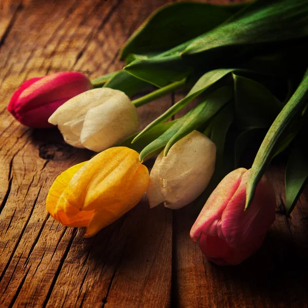 Boeket van mooie tulpen — Stockfoto
