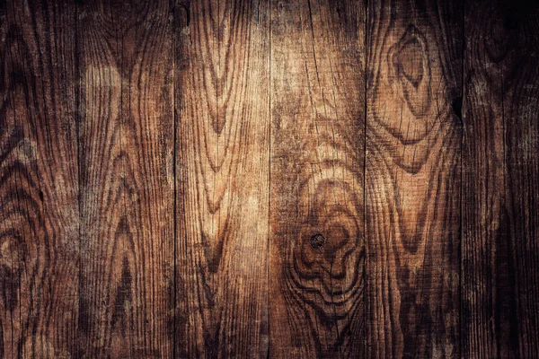 古木の背景 — ストック写真