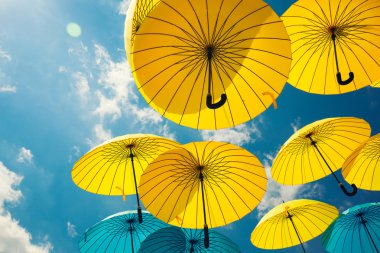 Parlak renkli şemsiyeler