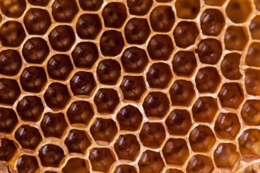 Tatlı peteğin arka plan