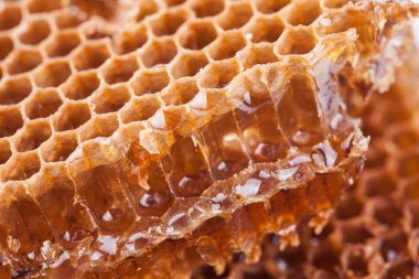 Tatlı peteğin arka plan