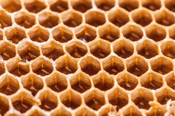 Doce fundo favos de mel — Fotografia de Stock