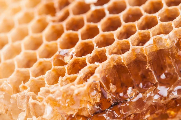 Doce fundo favos de mel — Fotografia de Stock