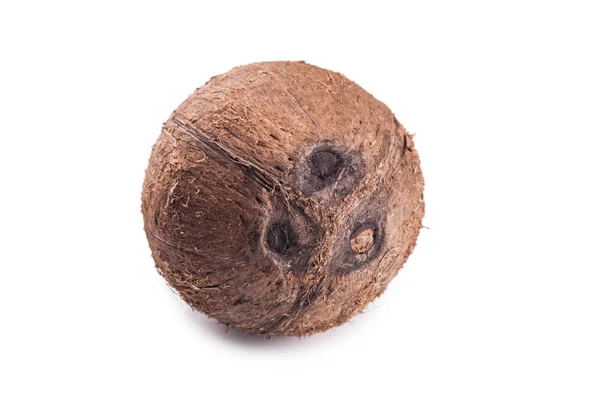 Primer plano de coco entero — Foto de Stock