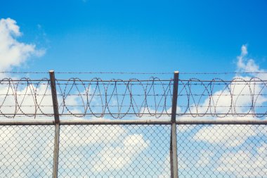 Dikenli telli bir çit