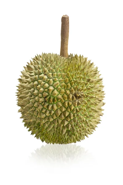 Durian — Stock Photo, Image